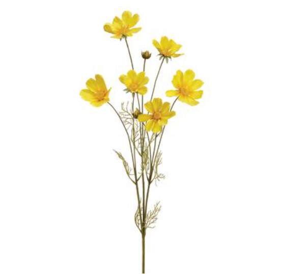36&quot; Cosmos Spray x6 w/Buds Yellow