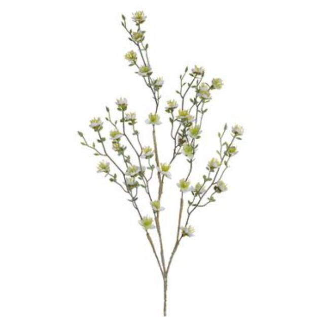 40&quot; Plum Blossom Stem White
