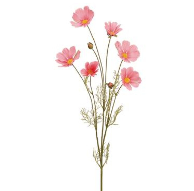 36&quot; Cosmos Spray Pink