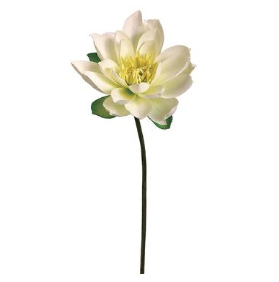 27" Lotus Bloom Spray Cream/Yellow