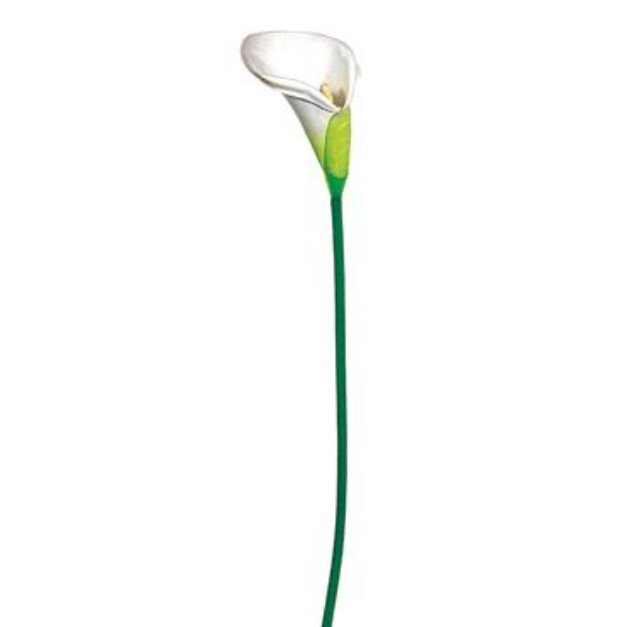 23" Calla Lily Stem White