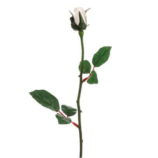 23" Rosebud Spray w/1"x2" Head Cream