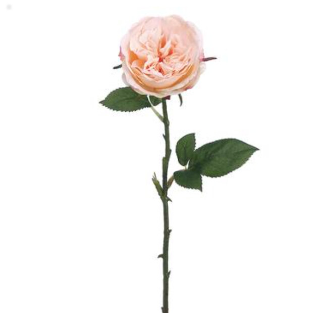 20.5" Rose Spray Apricot