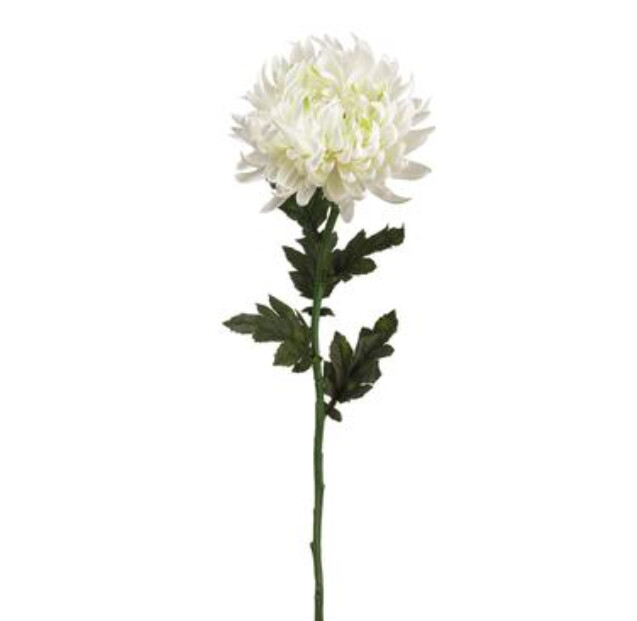 24" Chrysanthemum Stem w/6" Head White 24" Chrysanthemum Stem w/6" Head White