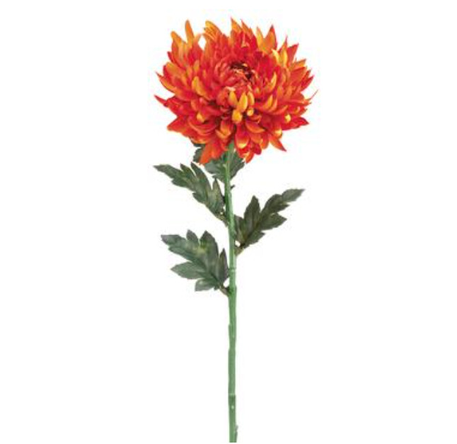 24" Chrysanthemum Stem w/6" Head Brick 24" Chrysanthemum Stem w/6" Head Brick
