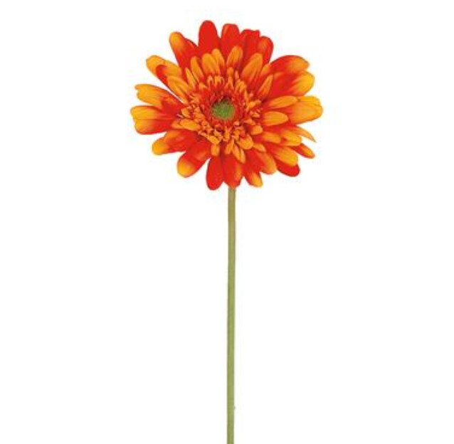 21.5" Gerbera Daisy Stem w/5" Head Orange