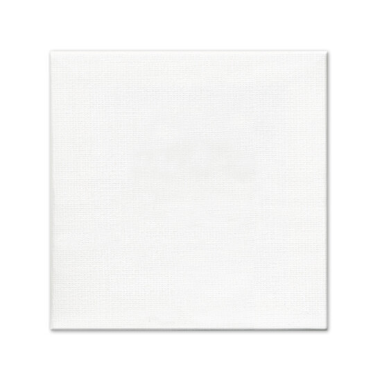 10"x10" Primed Canvas Panel