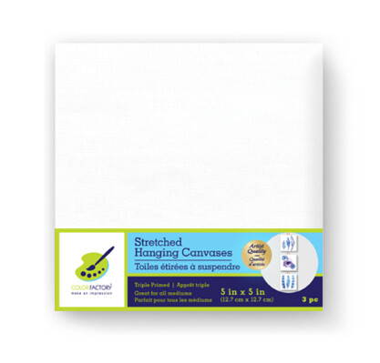 5&quot;x5&quot; Primed Back-Stapled 3 Stretched Hanging Canvas