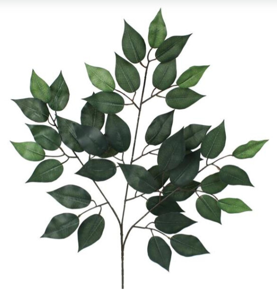 23&quot;  Ficus Spray Two-Tone Green