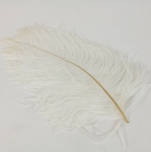 20&quot; Ostrich Feather White