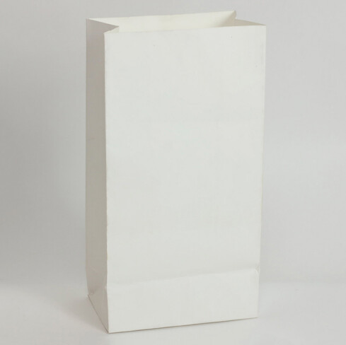 12pc 5&quot;x9.5&quot;x3&quot; Paper Treat Bags White