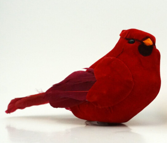 6&quot; Cardinal Red