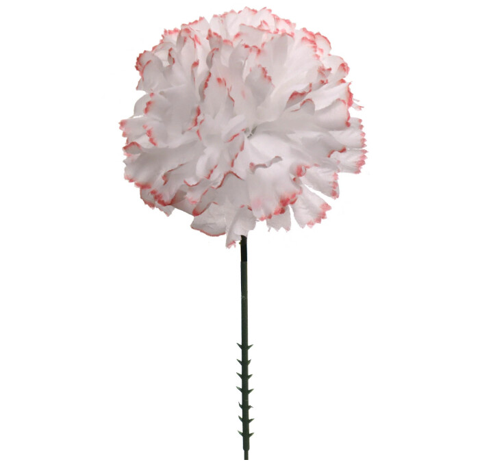 7" Carnation Pick w/3.5" Head Peppermint 7" Carnation Pick w/3.5" Head Peppermint