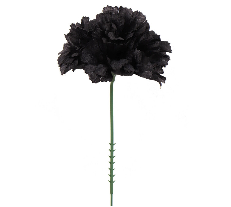 7&quot; Carnation Pick w/3.5&quot; Head Black