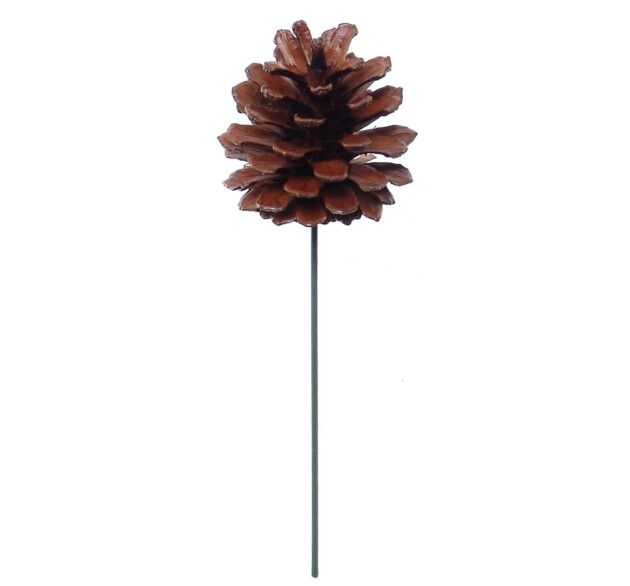 2.5" Lacquered Pinecone Pick Brown