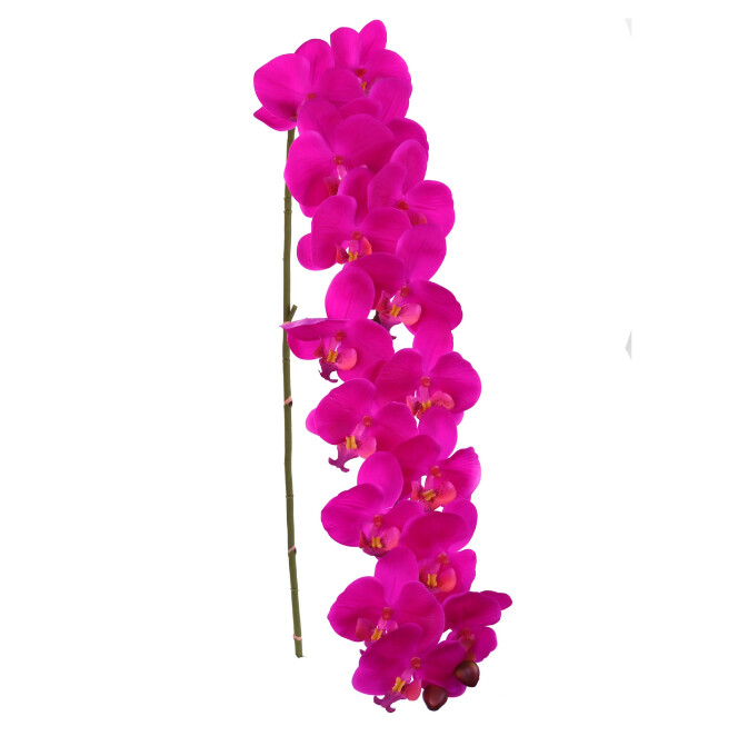 49&quot; Phalaenopsis Stem Fuchsia