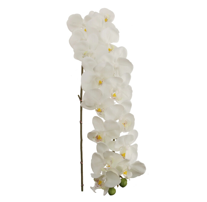 49&quot; Phalaenopsis  Stem  White