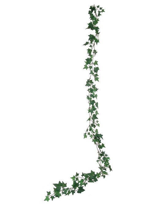 6' English Ivy Garland w/185 Leaves Green/White 6' English Ivy Garland w/185 Leaves Green/White
