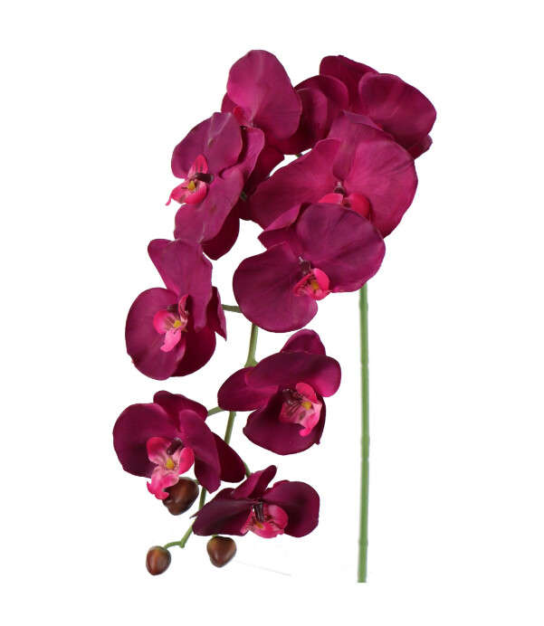 33.5&quot; Phalaenopsis Stem Purple