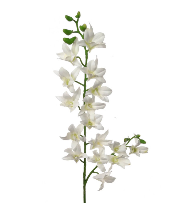 34&quot; Dendrobium Orchid Spray Cream