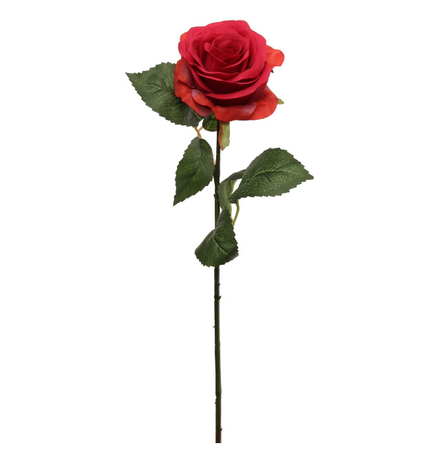 20" Open Rosebud Stem Beauty