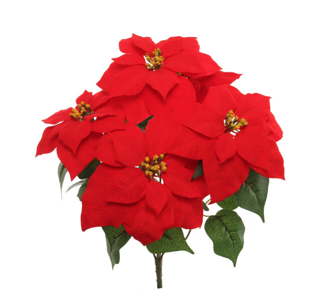 20&quot; Poinsettia Bush x5 Red