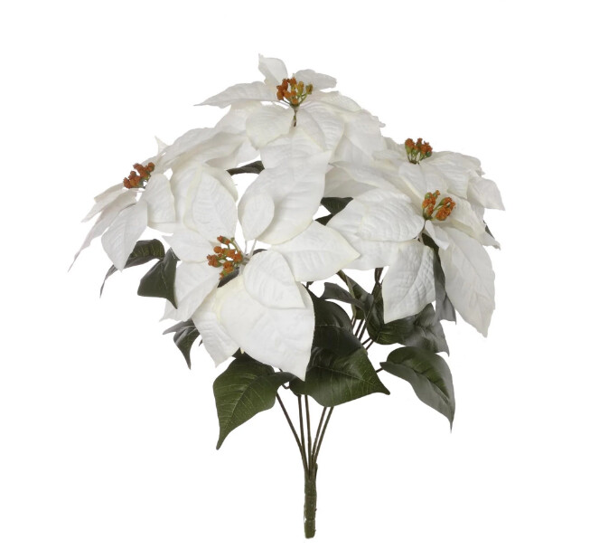 20&quot; Poinsettia Bush x5 White