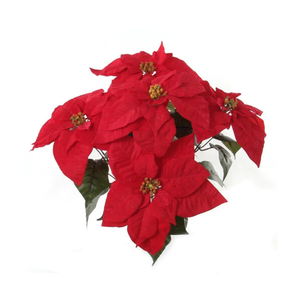 20&quot; Velvet Poinsettia Bush x5 w/10&quot; Heads Red