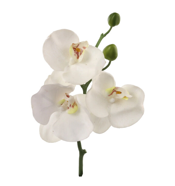10&quot; Phalaenopsis Orchid Pick White