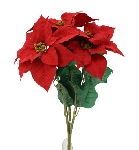 18&quot; Micropeach Poinsettia Bush x5 Red