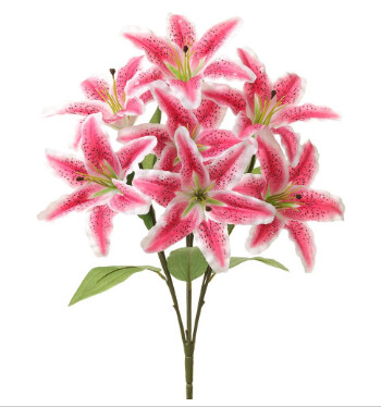 20&quot; Rubrum Lily Bush x7 w/6.5&quot;-7&quot; Heads Pink/Rubrum