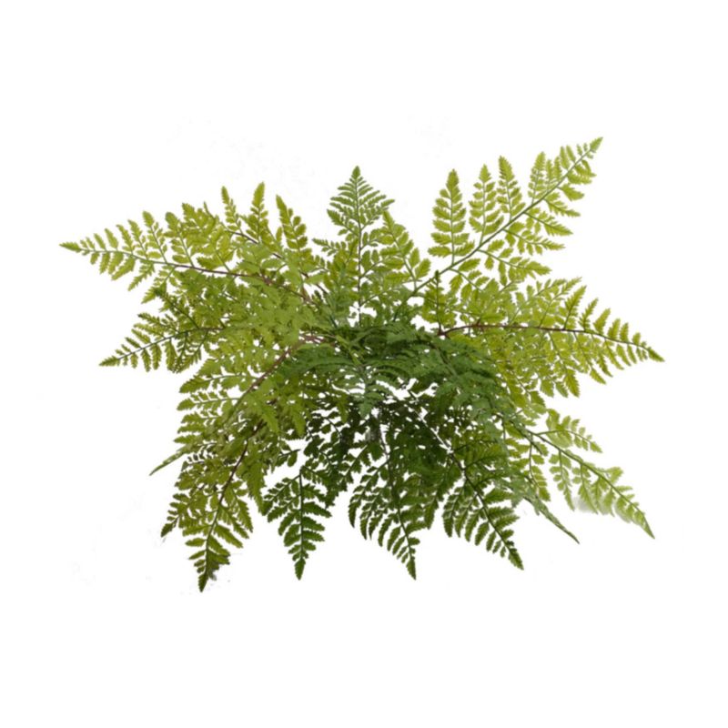 22&quot; Leather Fern Bush x7 Green