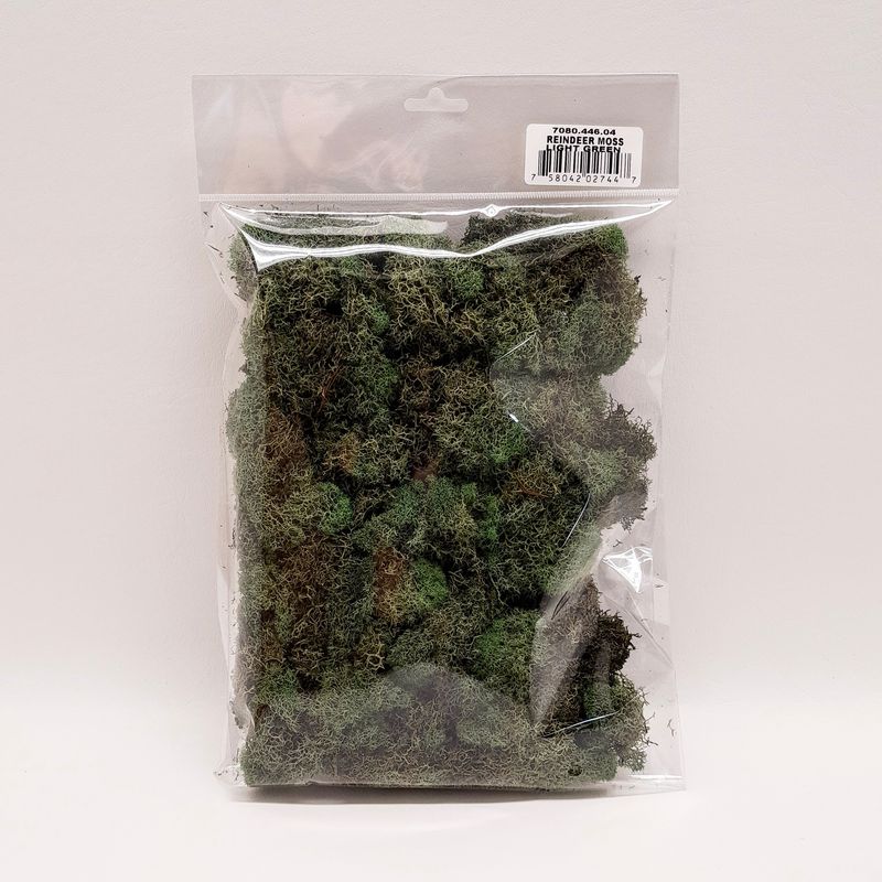 4oz Reindeer Moss Light Green
