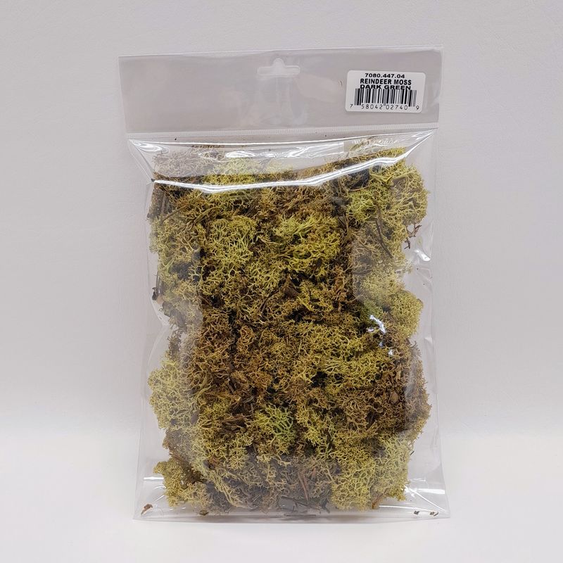 4oz Reindeer Moss Dark Green