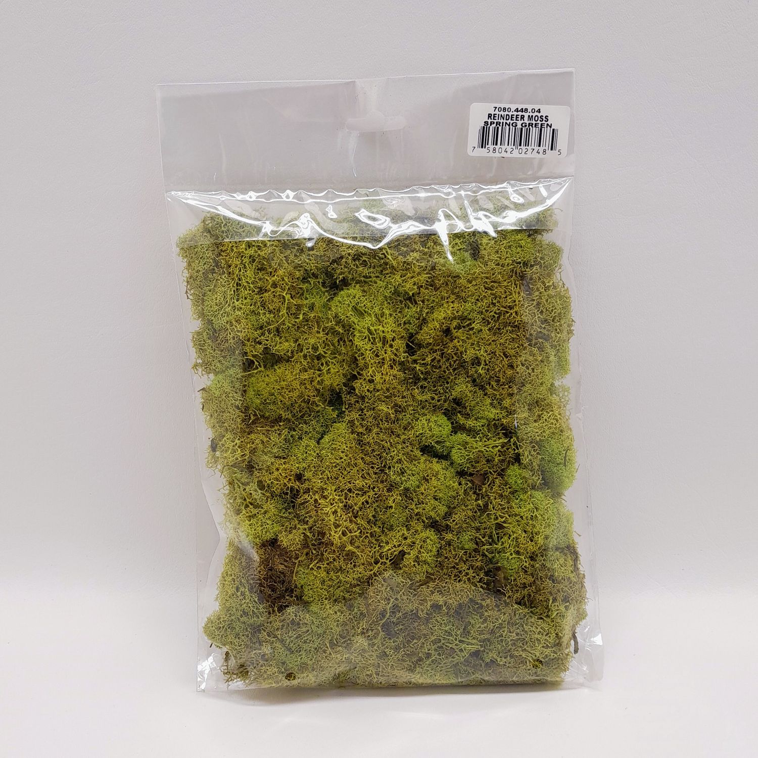 4oz Reindeer Moss Spring Green