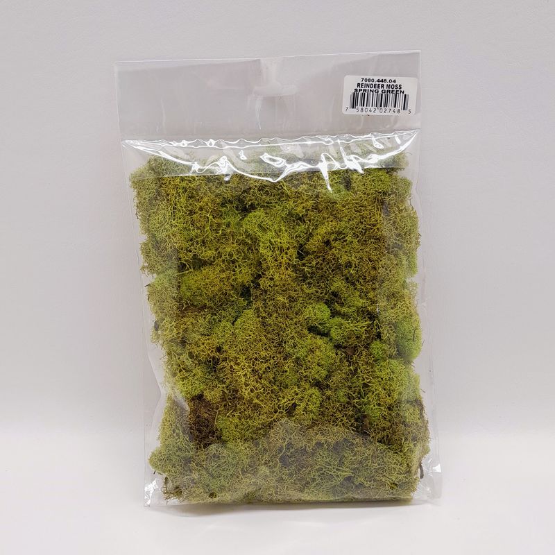 4oz Reindeer Moss Spring Green