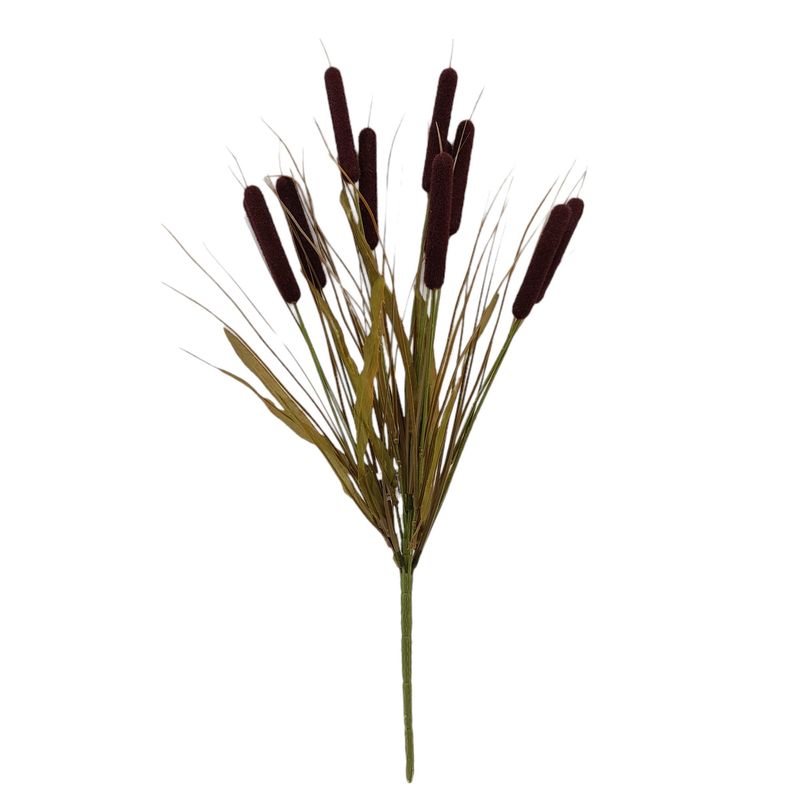 22&quot; Cattail Bush x11 Brown
