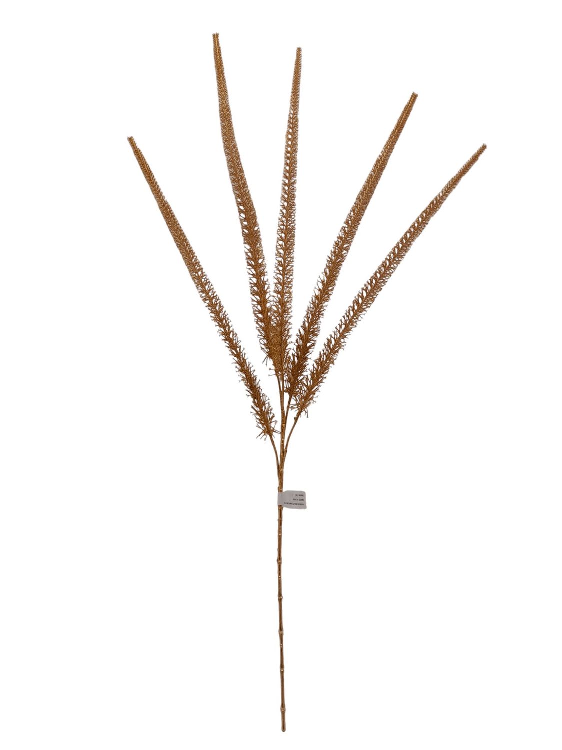 39" Foxtail Fern x5 Gold