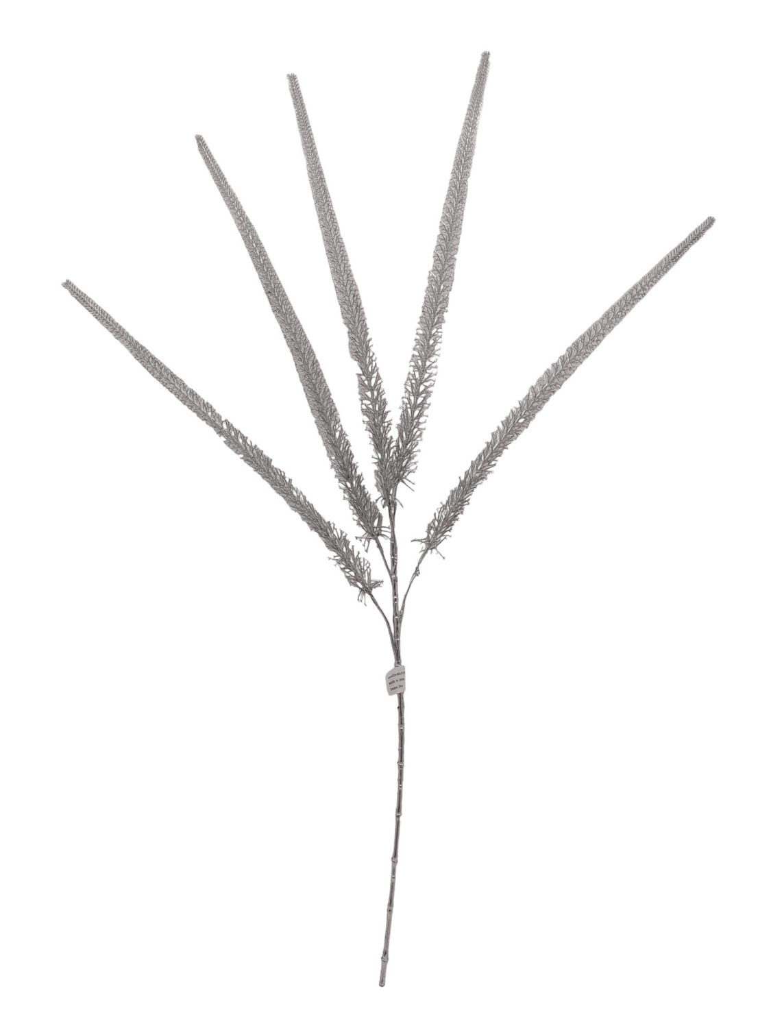 39" Foxtail Fern x5 Silver