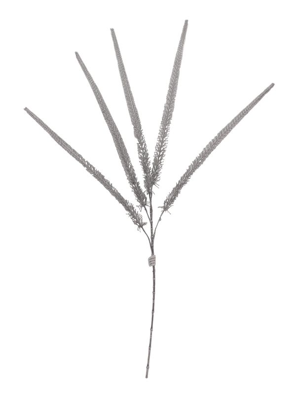 39&quot; Foxtail Fern x5 Silver