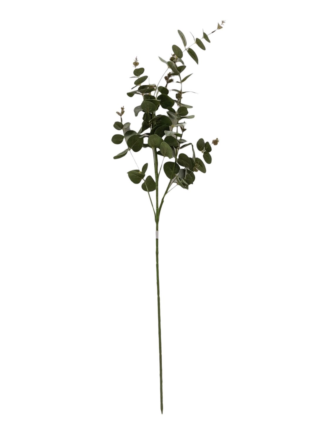 38.5" Frosted Eucalyptus Spray Green