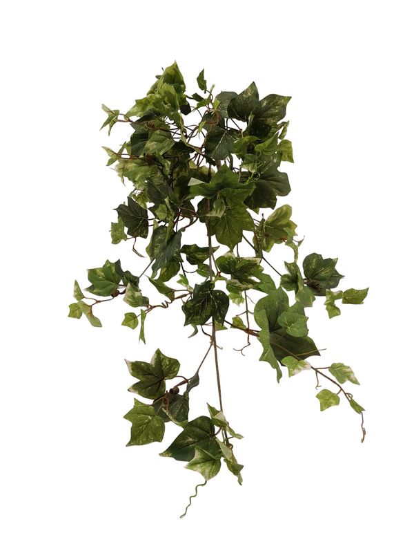 30&quot; Hanging Ivy Bush Green