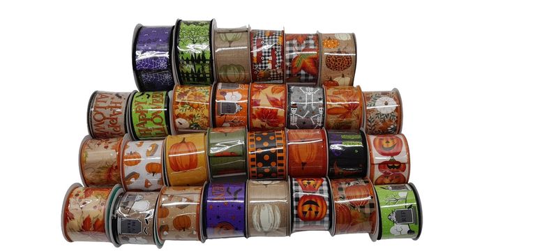2.5&quot;x10yd Assorted Wired Ribbon