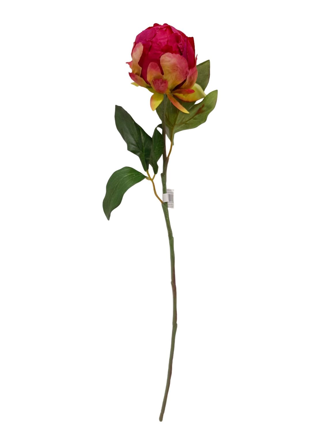 18&quot; Peony Bud w/2.5&quot; Head Fuchsia
