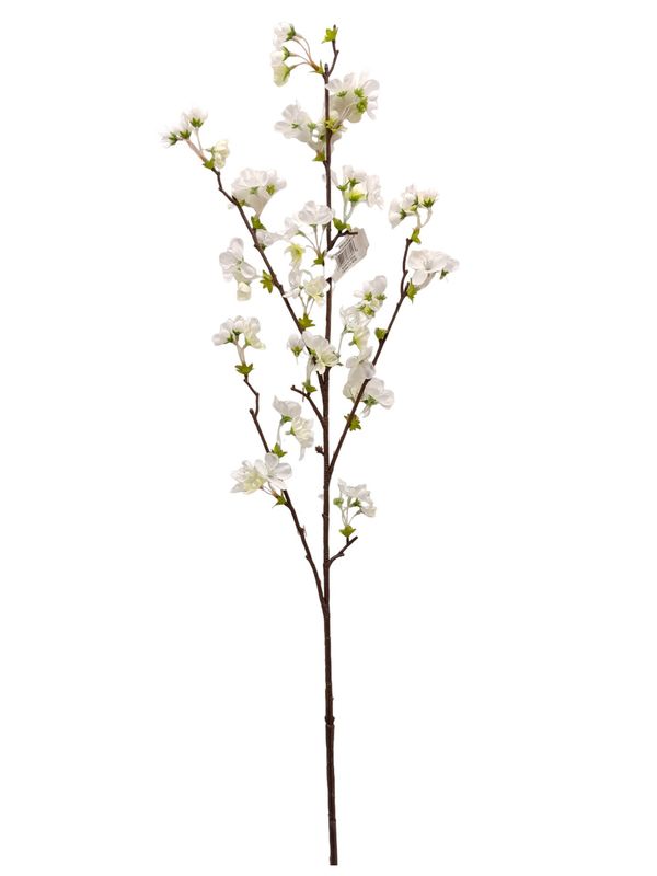 36&quot; Quince Blossom Spray Cream