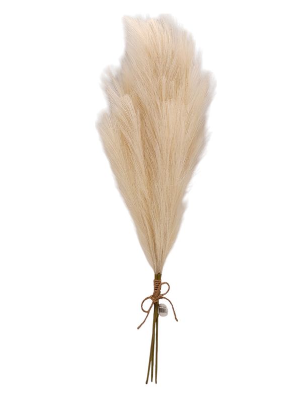 28&quot; Feather Grass Bundle x3 Cream
