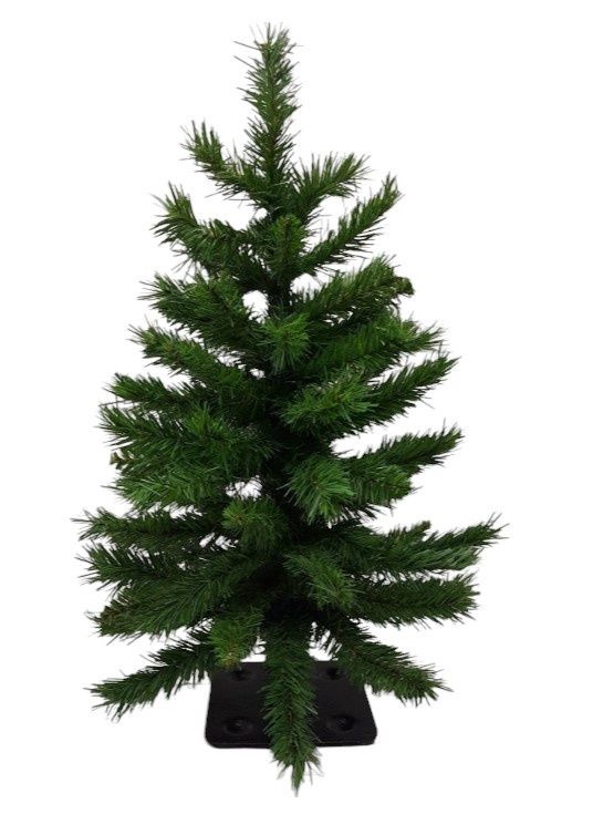2' Slim Spruce Tree
