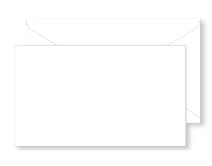 25pc 4.25"x2.5" Medium Envelopes White