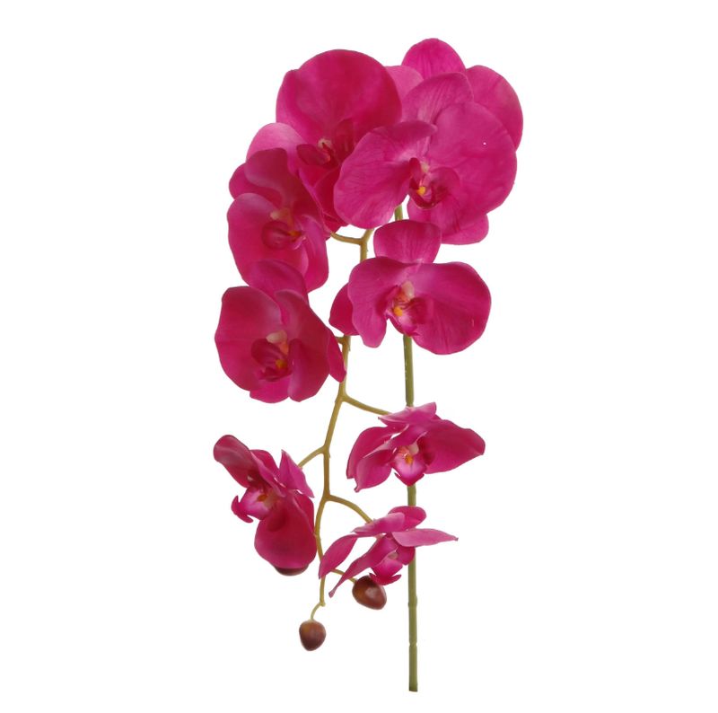 33.5&quot; Phalaenopsis Stem Fuchsia