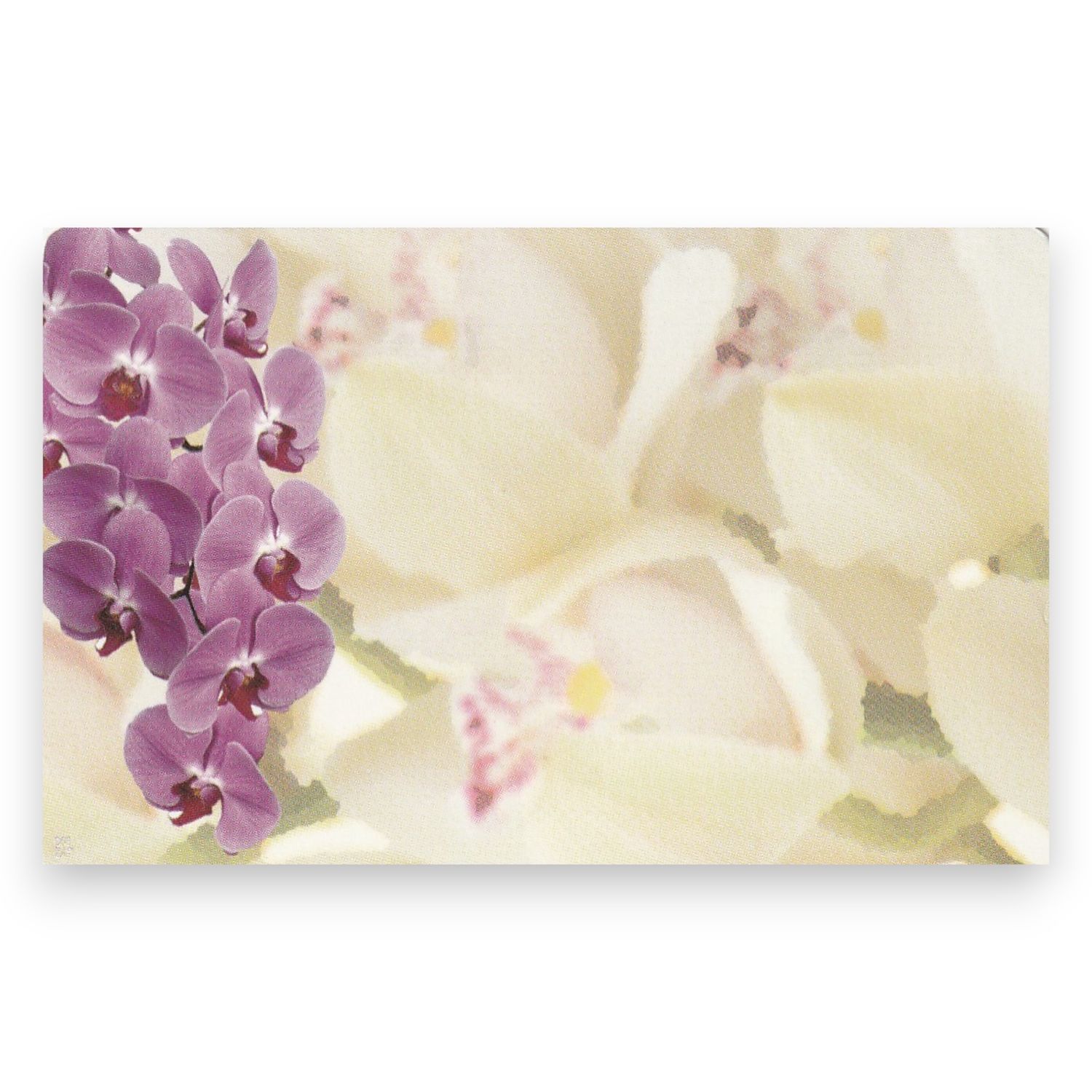 50pc 3.5&quot;x2.25&quot; Enclosure Cards w/Purple &amp; White Orchids